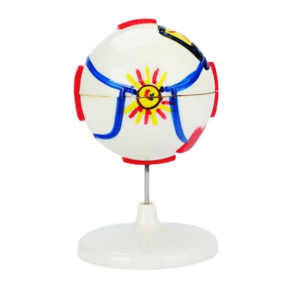 Removable PVC Human Eye Anatomy Model 6X Enlarged Anatomical Model For Clinical Settings and Science Education