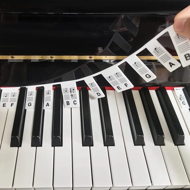 Piano Notes Guide for Beginner, Removable Piano Keyboard Note