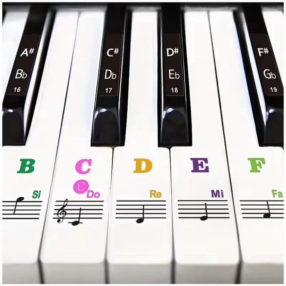 Removable Piano Keyboard Stickers for 37/49/54 Key Keyboards Large Bold Letter Note Labels with Color-Coded Design for Beginners, Students & Music Teachers