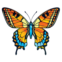Removable Tortoiseshell Butterfly Vinyl Wall Art Decal | 28" x 28" Adhesive Home Wall Moth Decor Design Removable Bedroom Nursery Living Room Colorful Winged Insect Sticker Decoration