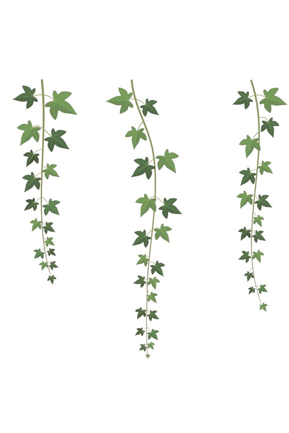 Removable Vinyl Art Lianas Décor Long Stemmed Climbing Plants Design Home Living Room Greenhouse Wall Decal Sticker - 20" x 20" Kids Bedroom Multicolored Hanging Vines Mural Art Wall Decoration