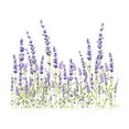 thumbnail image 1 of Removable Wall Decal Lavender Flowers Sticker 39"x18" Self-Adhesive Mural Bathroom Decor Vinyl Art Peel Stick Home Accent, 1 of 4