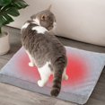 thumbnail image 1 of Removable Washable Pet Cushion for Dogs & Cats – Soft Four Seasons Sofa Mat with High-Density Sponge, Anti-Slip Bottom, for Medium to Large Pets, 15.75x11.81in, Black/Gray/Pink/Khaki, 1 of 4
