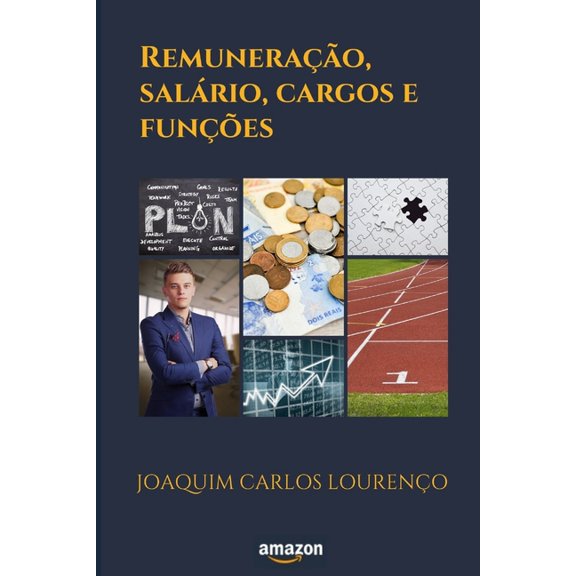 Remunerao, salrio, cargos e funes (Paperback)