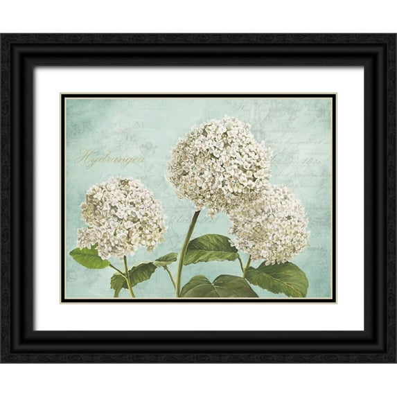 Remy, Dellal 14x12 Black Ornate Wood Framed with Double Matting Museum Art Print Titled - Hydrangeas I (Aqua)