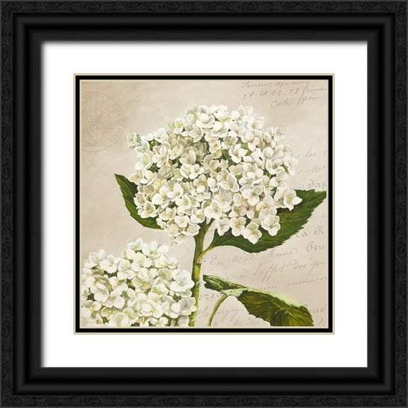 Remy, Dellal 26x26 Black Ornate Wood Framed with Double Matting Museum Art Print Titled - Hydrangeas II (Neutre)