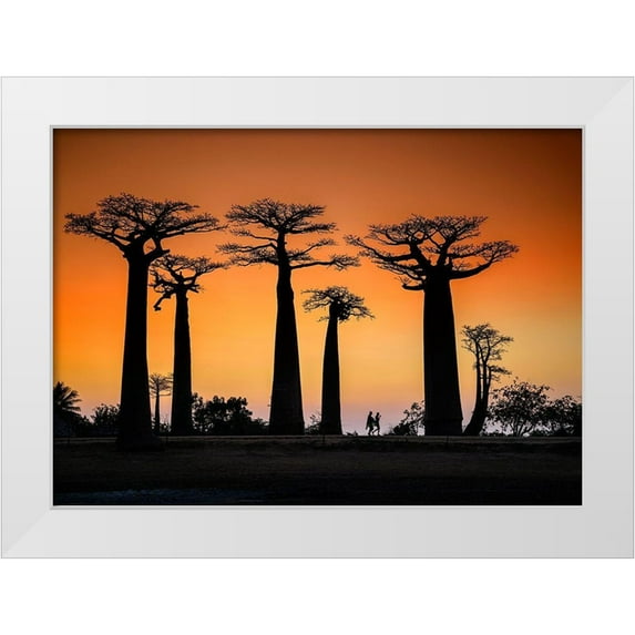 Ren Rong, Raymond 18x14 White Modern Wood Framed Museum Art Print Titled - Sunset In Morondava