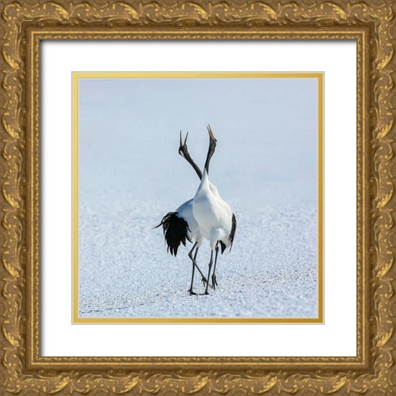 Ren Rong, Raymond 20x20 Gold Ornate Wood Framed with Double Matting Museum Art Print Titled - Pas Dedeux