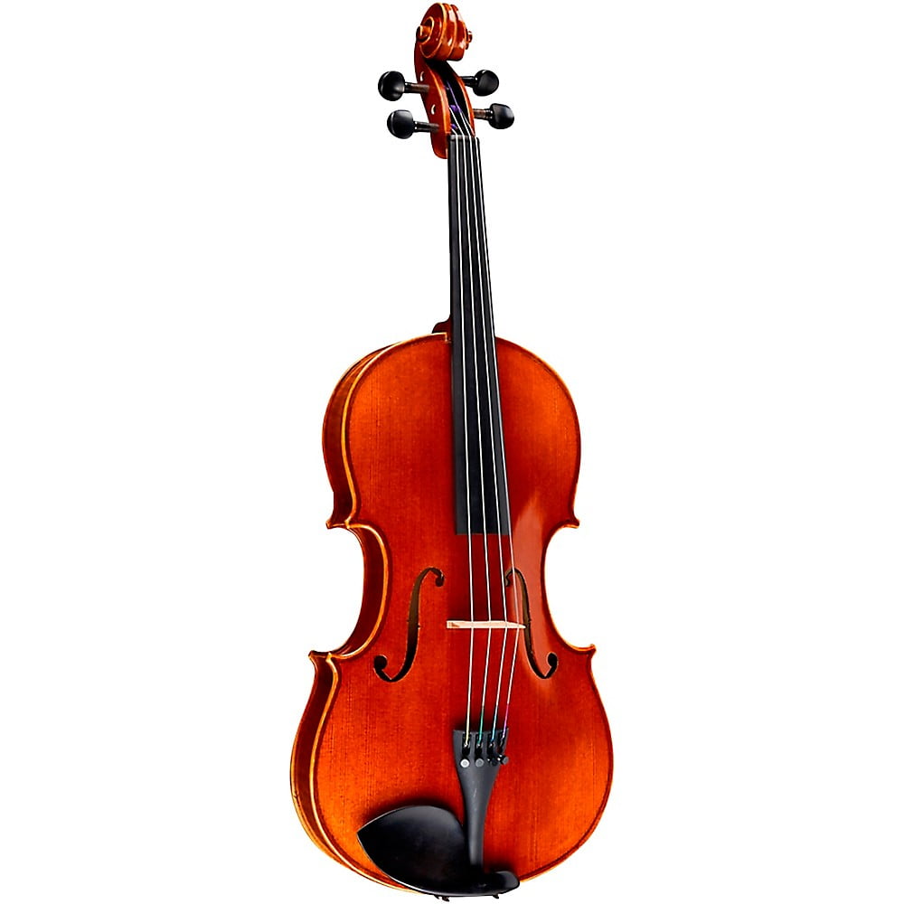 Ren Wei Shi Academy II Series Violin Outfit 1/4