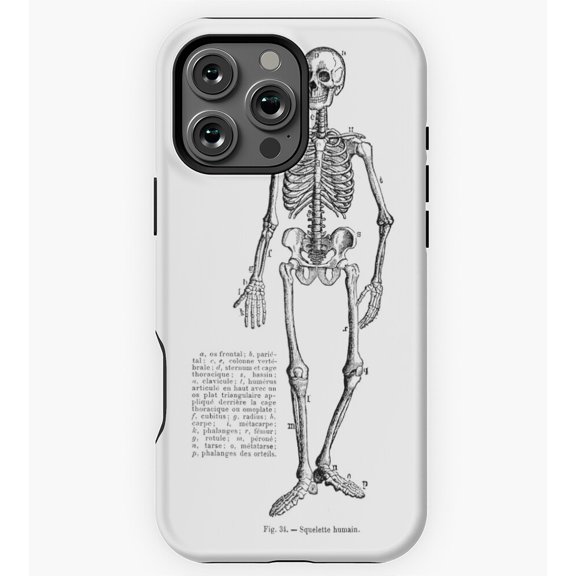 Renaissance Anatomy Skeleton GA617 Phone Case for iPhone 11 to 17 Pro Max