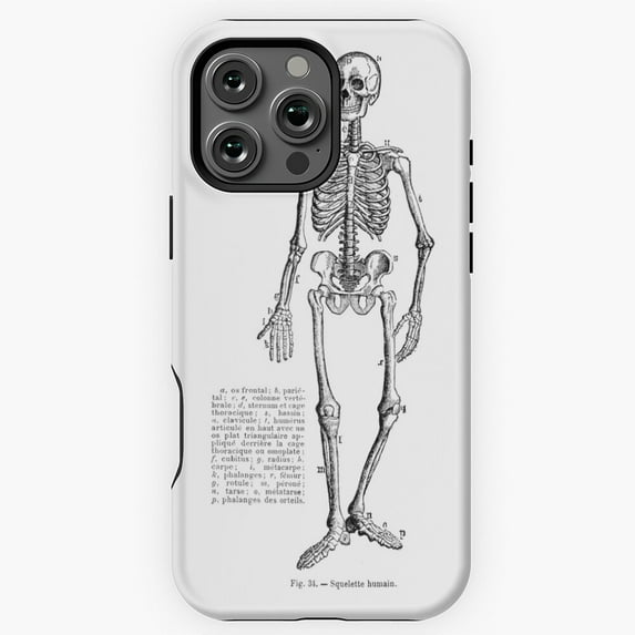 Renaissance Anatomy Skeleton Phone Case for iPhone 16 15 14 13 12 11 Pro Max M890617