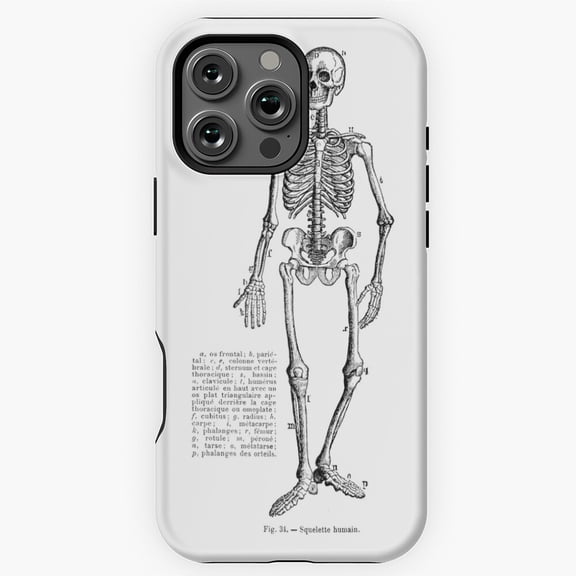 Renaissance Anatomy Skeleton Phone Case for iPhone 16 15 14 13 12 11 Pro Max M890617