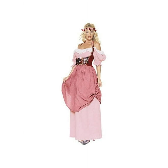 Renaissance Dress Costume