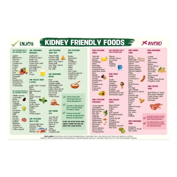 Renal Diet Food Chart for Refrigerator Kidney Friendly Grocery List and Healthy Eating Guide Poster for Kitchen and Clinic