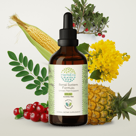 HerbEra Renal System Formula Extract, Dietary Supplement Herbal Formula, Made from Cranberry, Corn Silk, Uva Ursi Leaf,Moringa Leaf, Oregon Grape Root 4 oz