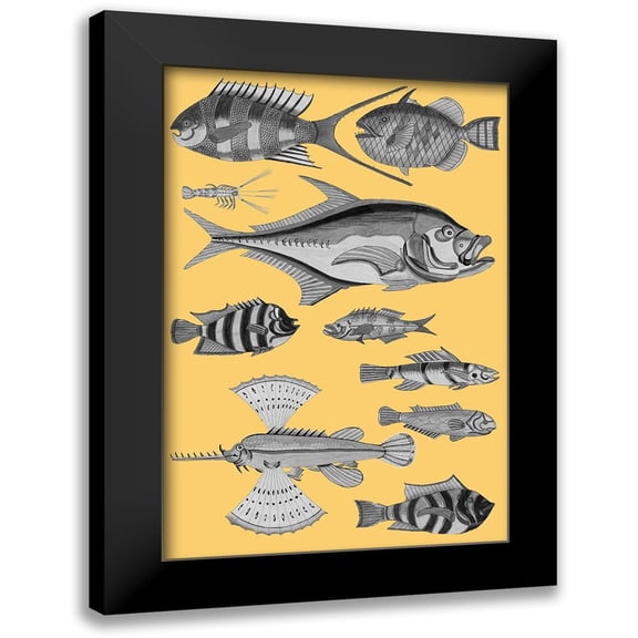 Renard, Louis 11x14 Black Modern Framed Museum Art Print Titled - Tropical Fish Collage 2-Yellow Background
