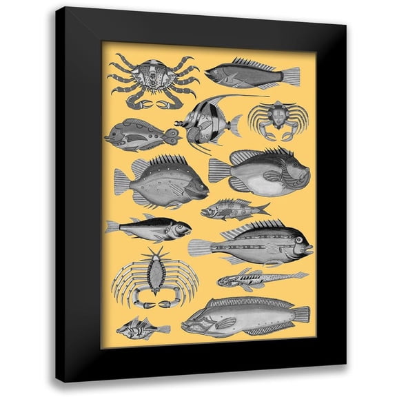 Renard, Louis 11x14 Black Modern Framed Museum Art Print Titled - Tropical Fish Collage 3-Yellow Background