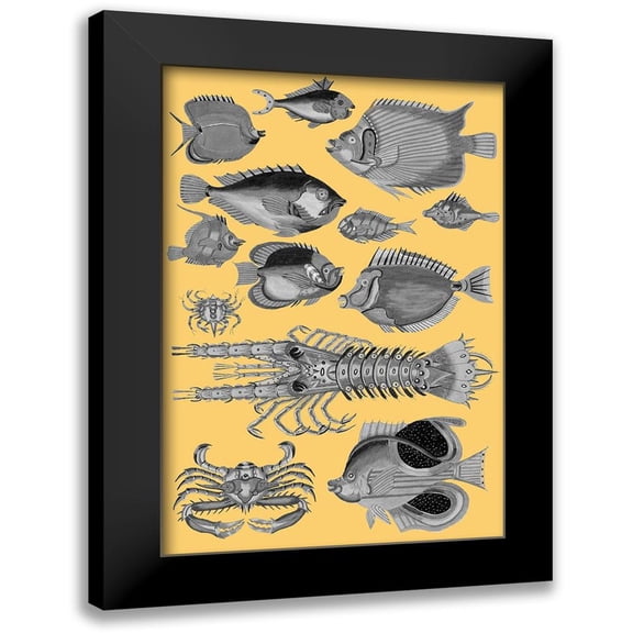 Renard, Louis 11x14 Black Modern Framed Museum Art Print Titled - Tropical Fish Collage 4-Yellow Background
