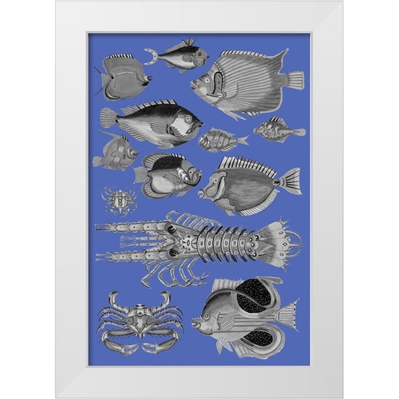 Renard, Louis 11x14 White Modern Wood Framed Museum Art Print Titled - Tropical Fish Collage 4-Blue Background