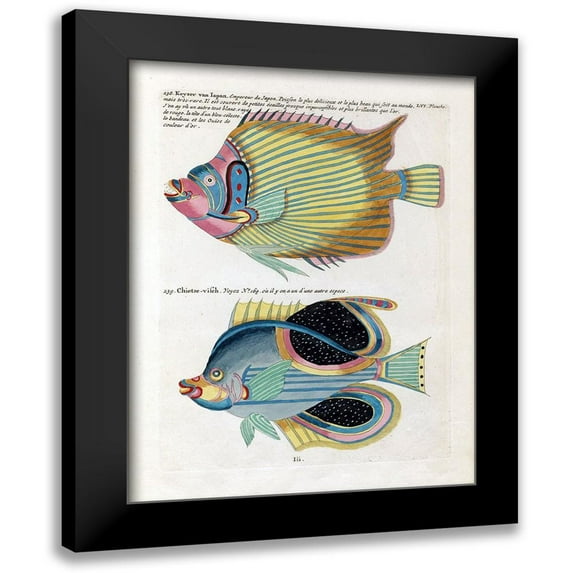 Renard, Louis 12x14 Black Modern Framed Museum Art Print Titled - Keyser van Japan
