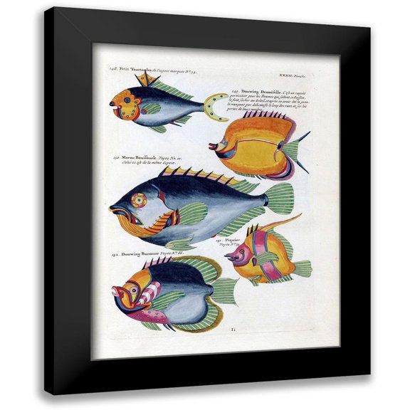 Renard, Louis 12x14 Black Modern Framed Museum Art Print Titled - Petit Tompombo