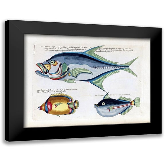 Renard, Louis 14x12 Black Modern Framed Museum Art Print Titled - Babara