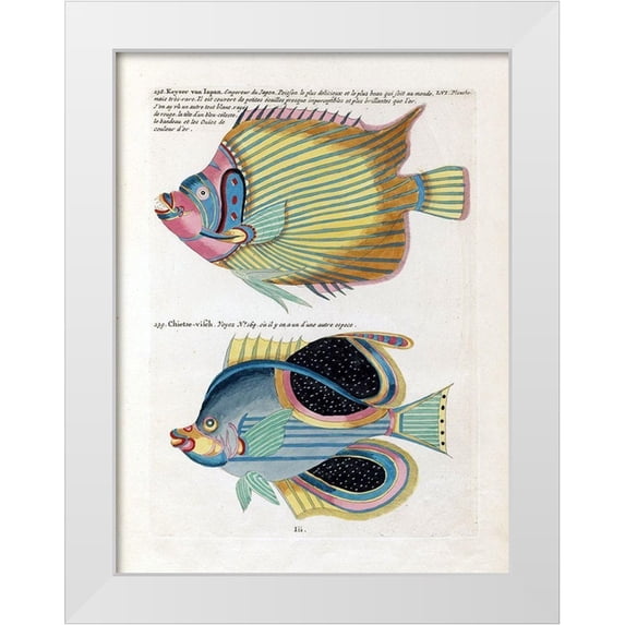 Renard, Louis 15x18 White Modern Wood Framed Museum Art Print Titled - Keyser van Japan