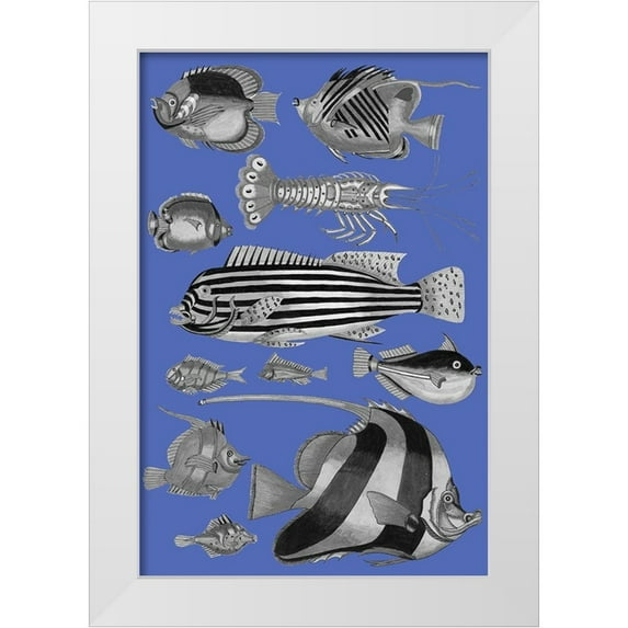 Renard, Louis 17x24 White Modern Wood Framed Museum Art Print Titled - Tropical Fish Collage 1-Blue Blackground