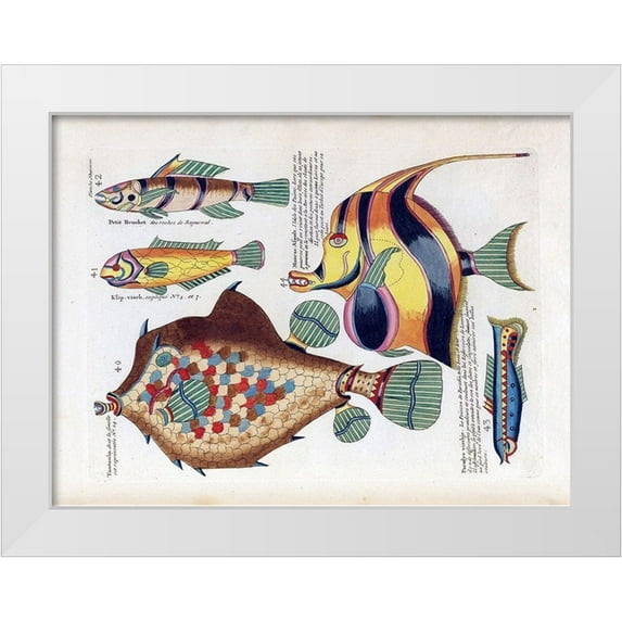 Renard, Louis 32x25 White Modern Wood Framed Museum Art Print Titled - Tompombo