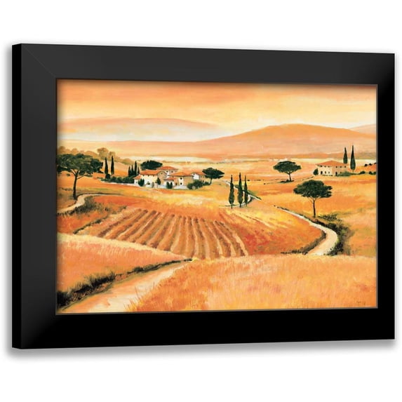 Renee 18x14 Black Modern Framed Museum Art Print Titled - Tuscany IV