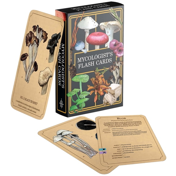 Renegade Games: Mycologists Primer Flash Cards - 100 Card Deck Of Flash Cards, Items In Mycologists Primer, A System Agnostic For Any RPG System