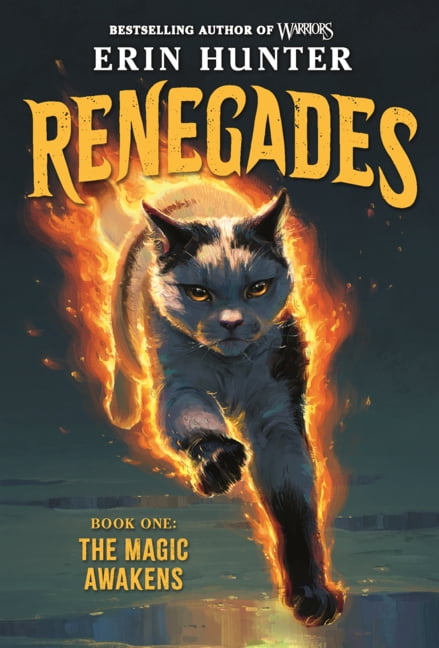 Renegades Magic Awakens, Book 1, (Hardcover)