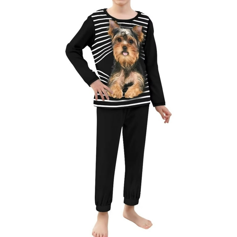 Biewer Terrier Pants Biewer Terrier Pants