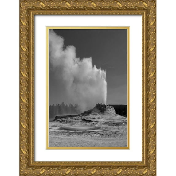 Renkin, Diane 13x18 Gold Ornate Wood Framed with Double Matting Museum Art Print Titled - Castle Geyser, Yellowstone National Park
