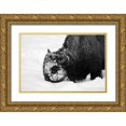 thumbnail image 1 of Renkin, Diane 14x11 Gold Ornate Wood Framed with Double Matting Museum Art Print Titled - Bison Snow Plough near Rainy Lake, Yellowstone National Park, 1 of 4
