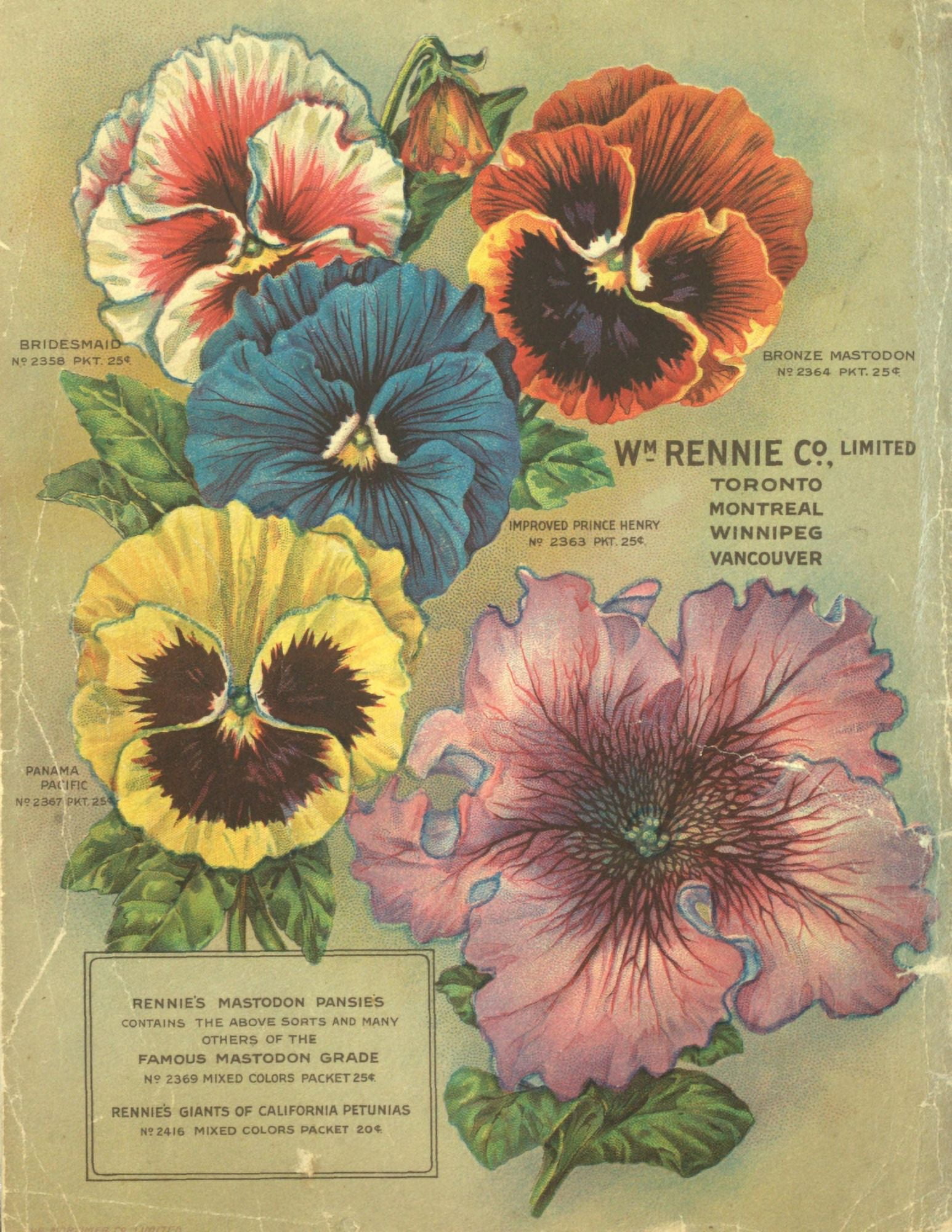 Rennies Seed Annual 1920 3 Canvas Art -  (24 x 36)
