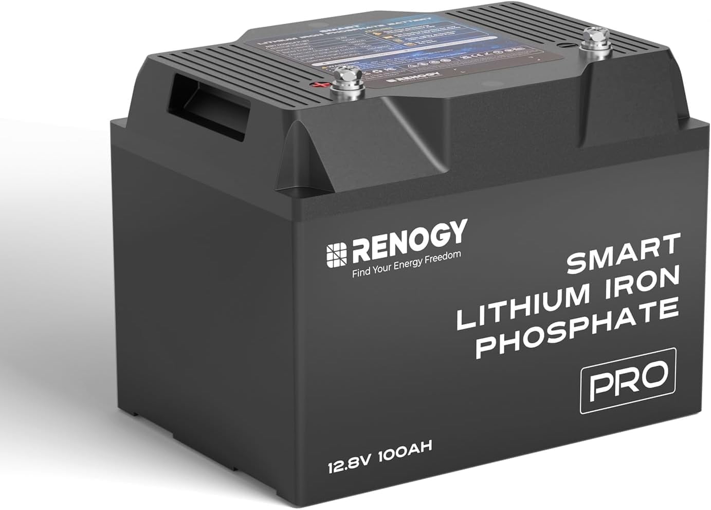 Renogy 12V 100Ah Bluetooth Self-Heating Lithium LiFePO4 Deep Cycle Battery, 5000+Deep Cycles, dust-proof IP67, Backup Power for RV, Cabin, and Marine Applications-Pro Series