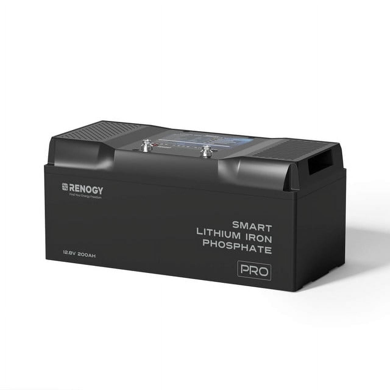 Renogy RBT12200LFPBTG1US 12V 200Ah LiFePO4 Lithium Battery