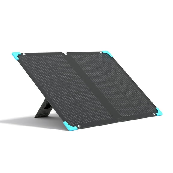Renogy 100W Solar Panel, IP65 Waterproof, Adjustable Kickstands for Power Station, RV, Camping, Off Grid