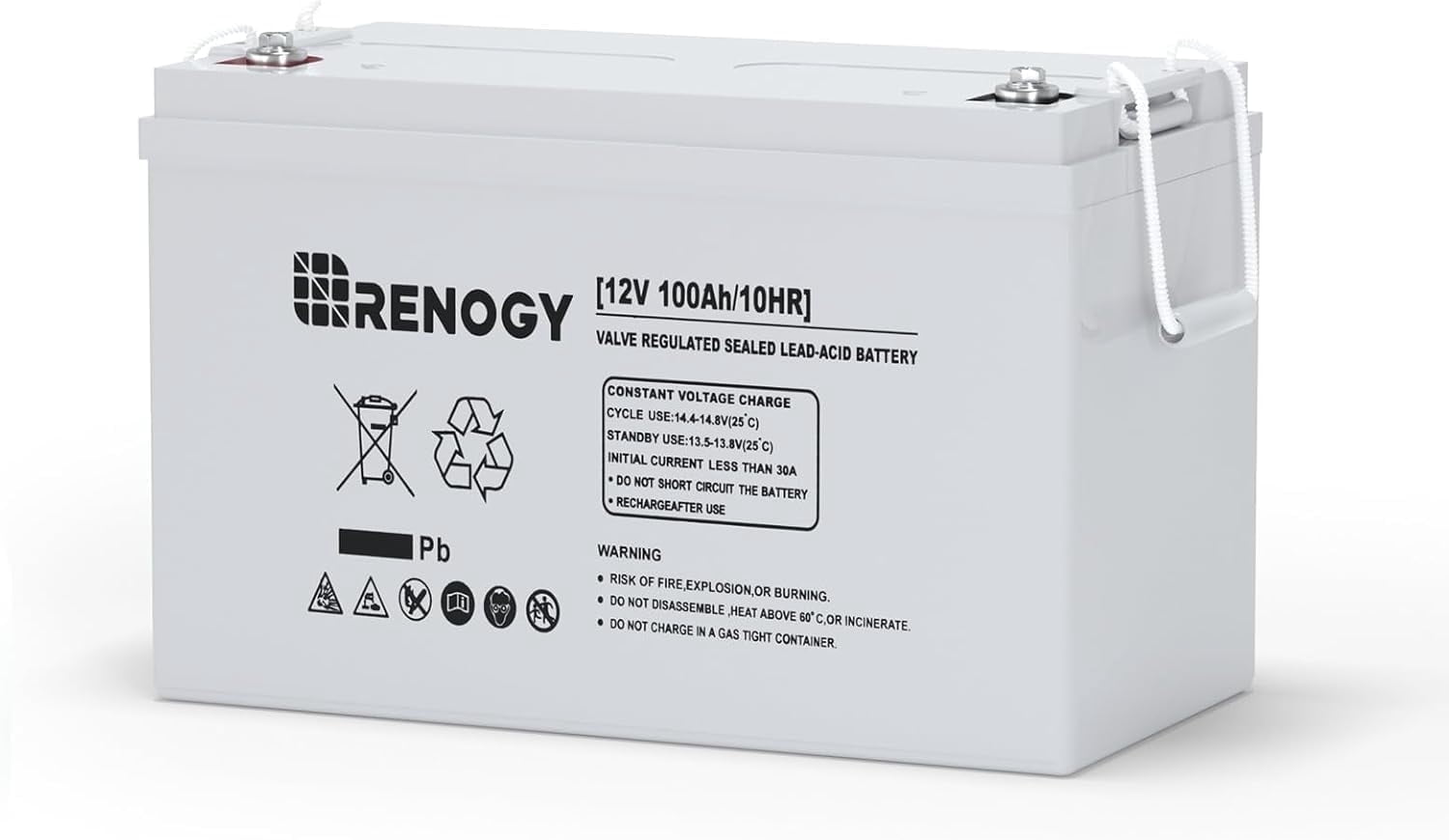 Renogy 100Ah Deep Cycle AGM Battery 12 Volt, 1100A Max Discharge Current, Safe Charge Appliances, RVs, Marine, Solar, off-Grid