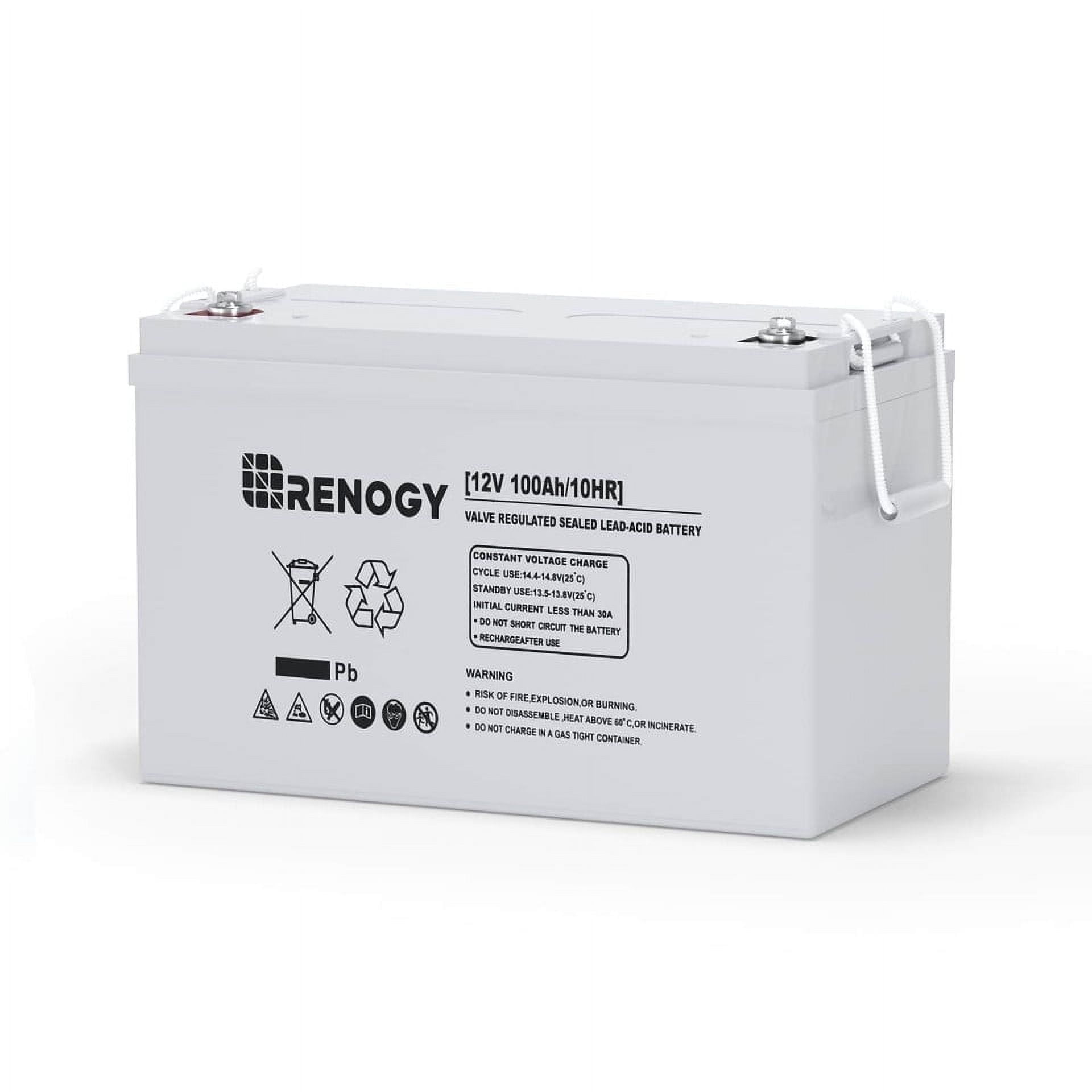 Renogy 12V 100Ah Gray Deep Cycle AGM Battery