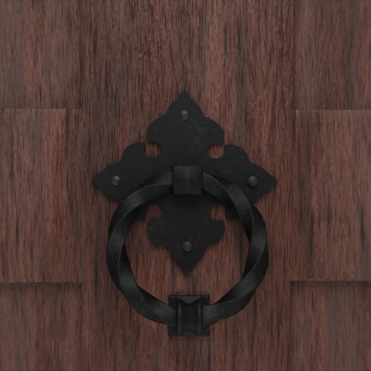 Black Cast Iron Georgian Style Ring Door Knocker with Fleur De Lis Backplate