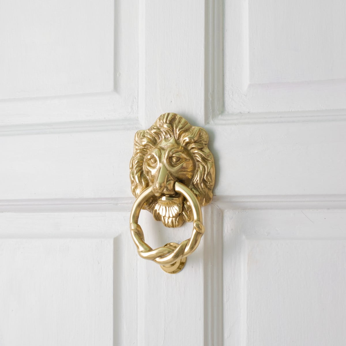 Large Two Piece Brass Door Knocker