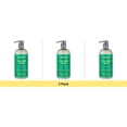 thumbnail image 1 of Renpure Tea Tree & Mint Purifying Body Wash for All Skin Types, 24 fl oz - 3 Pack, 1 of 1