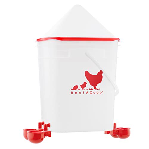 RentACoop 5 Gallon/ 4 Automatic Chicken Waterer with Chicken Nipple