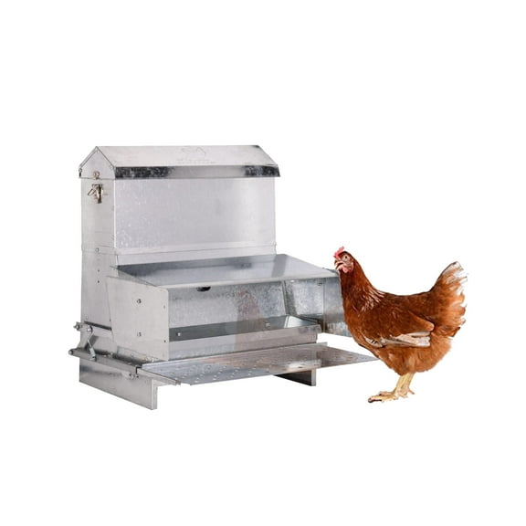 RentACoop Automatic Metal Treadle Feeder for Chicken, Bantams, Poultry, Pheasants, Ducks, and Fowl