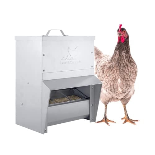 Galvanized Weatherproof Chicken Feeder with Lid, 10lb Capacity