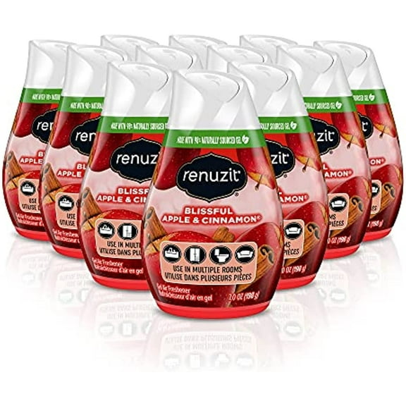 Renuzit - 1717587 Blissful Apple & Cinnamon Adjustable Gel Air Freshener, 7oz Cone (Pack of 12)