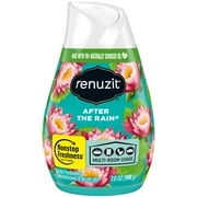 Renuzit Adjustable After The Rain 12/7oz/198g
