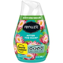 Renuzit Adjustable Air Freshener After The Rain 12/7oz/198g